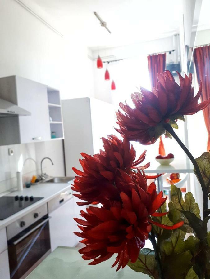 Apartment Zrinjevac Zagreb Eksteriør billede
